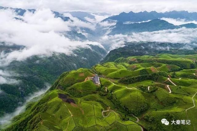 茶旅之路,茶旅最佳治愈方案