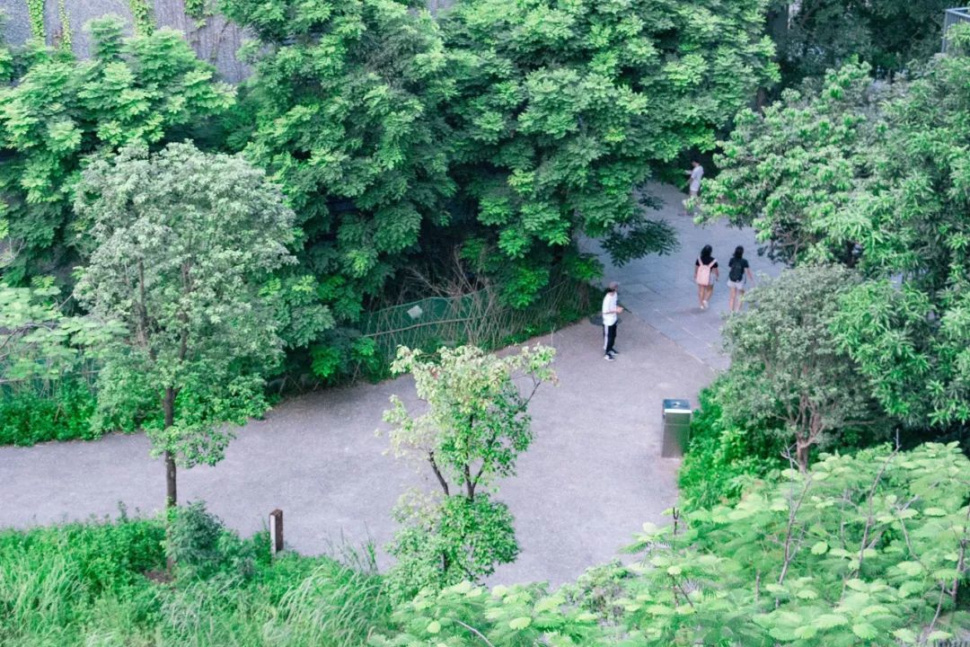 深圳宝安喝茶的世外桃源,宝安西乡世外桃源