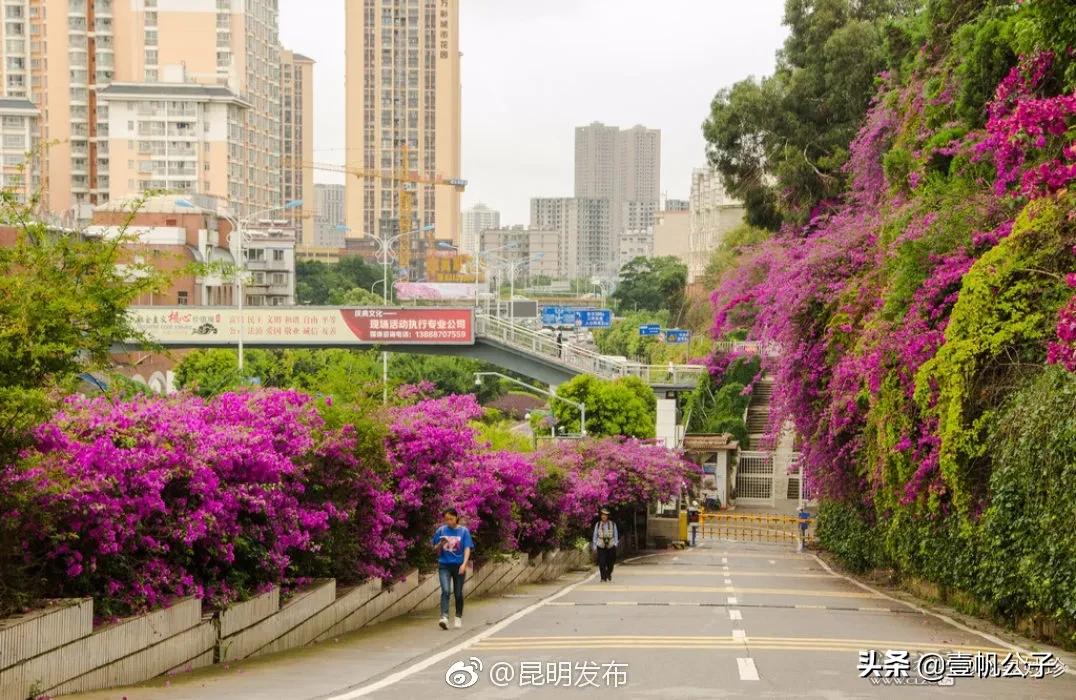 被大理的美景所折服,被丽江的风景美到了
