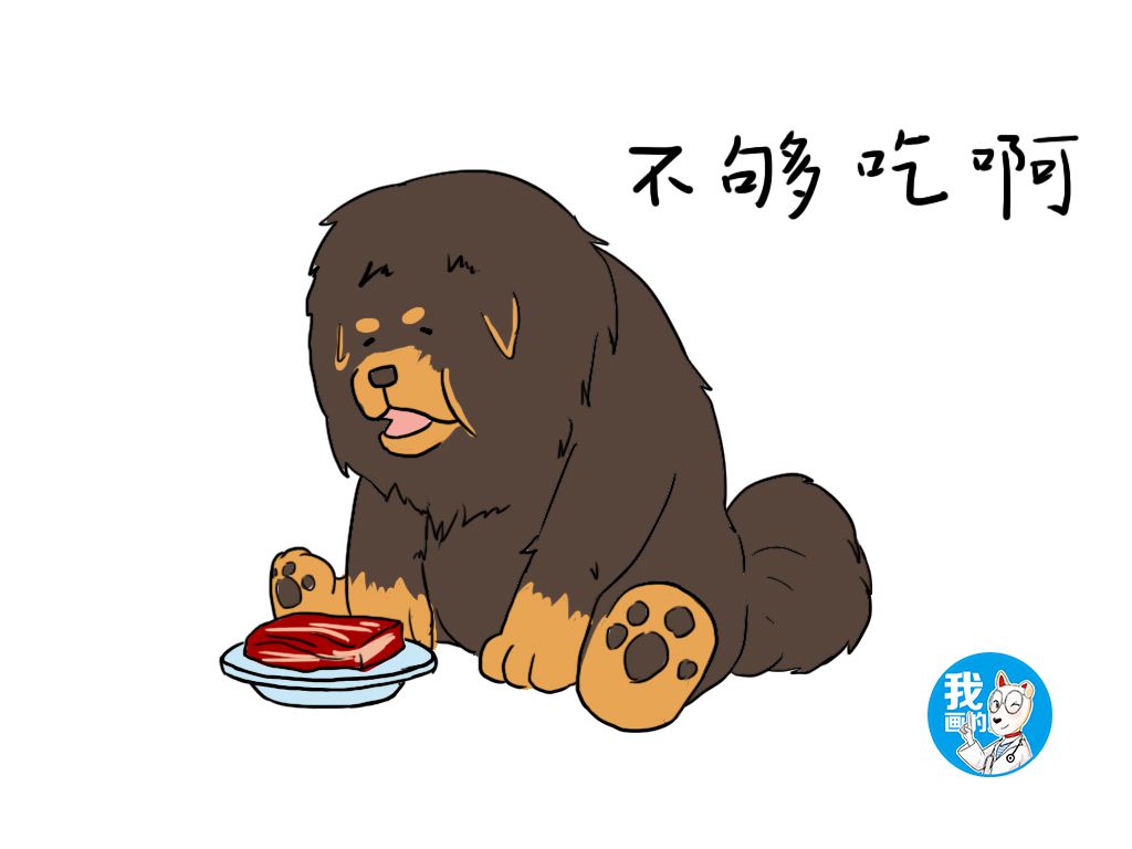 藏獒天生凶猛,藏獒的野性有多可怕