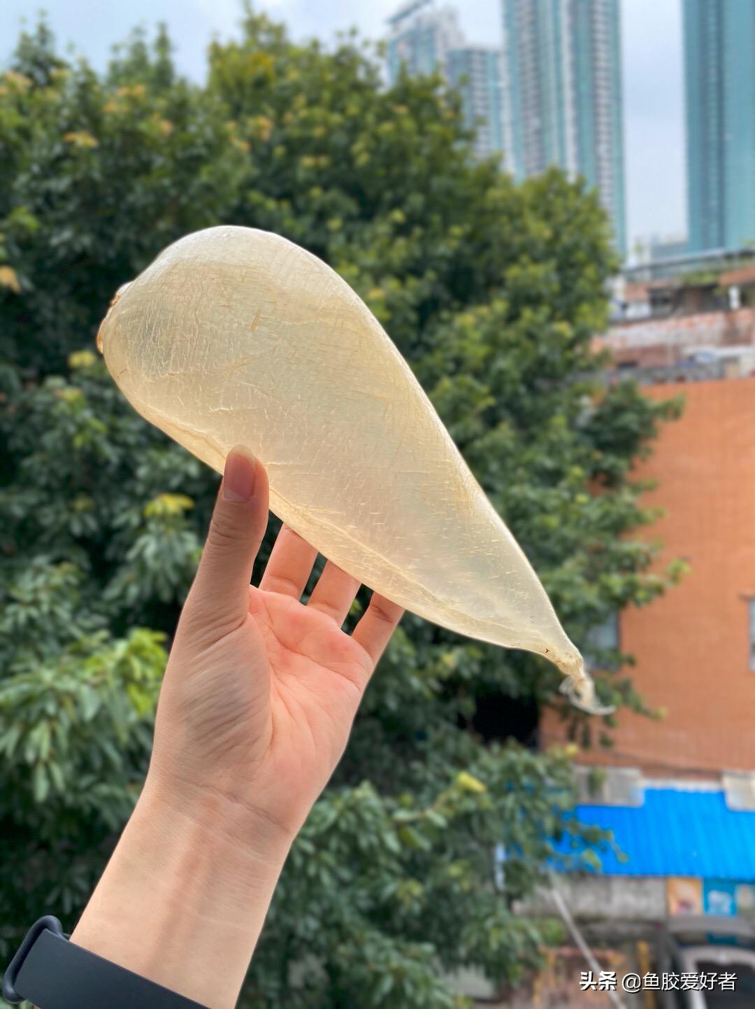 白花胶鱼胶的功效与作用及禁忌症,白花鱼胶属于什么档次