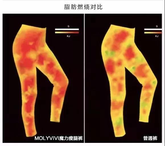 张蓝心瘦腿的方法,张蓝心的腿法图解