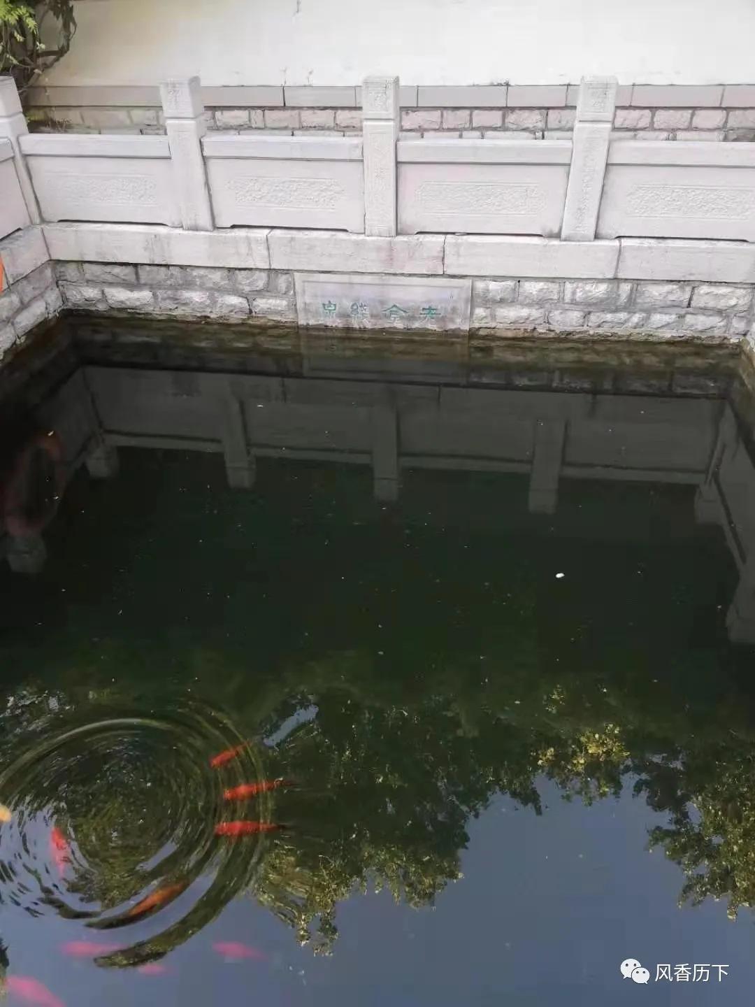 济南园林的南北园林风格,济南园林庭院效果图