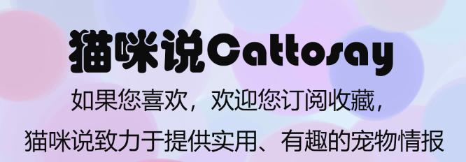 猫的避开障碍物能力决定猫的智商,猫弹跳能力到底多高