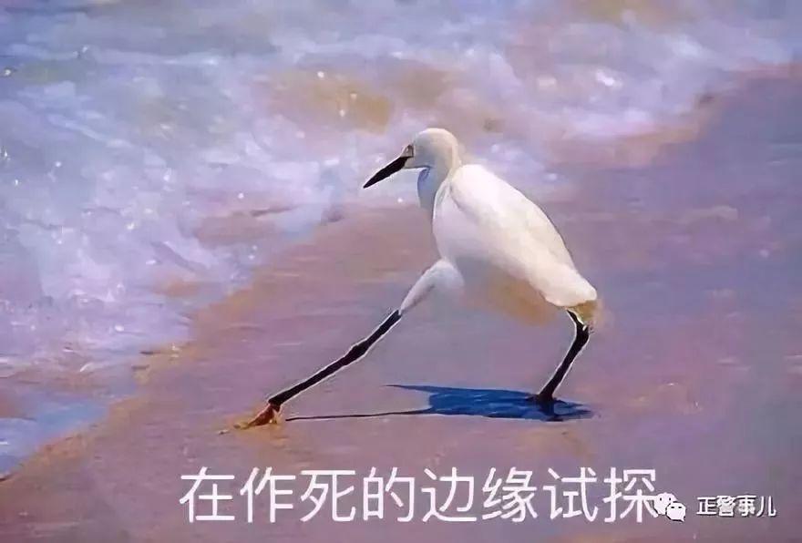 适合在一起的女人是什么样的,最适合共度一生的女人