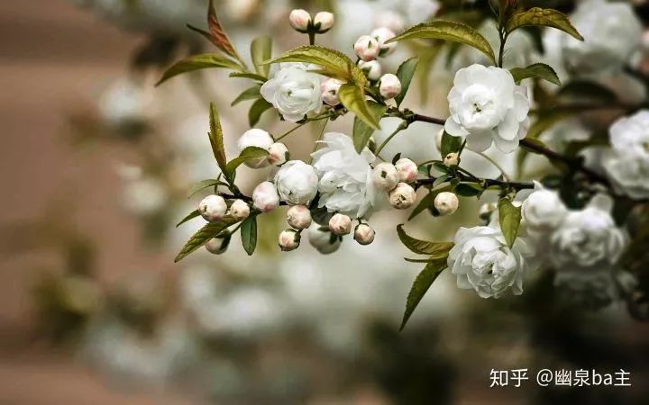 133%高色域和100%高色域,126%srgb色域什么水平