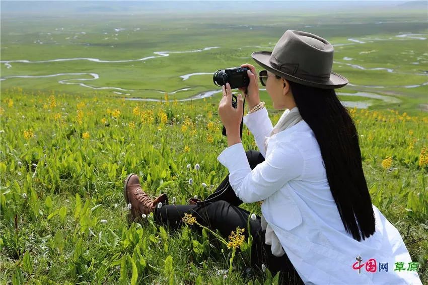 大梅看草原丨盛夏的甘南玛曲，美得脱俗惊艳