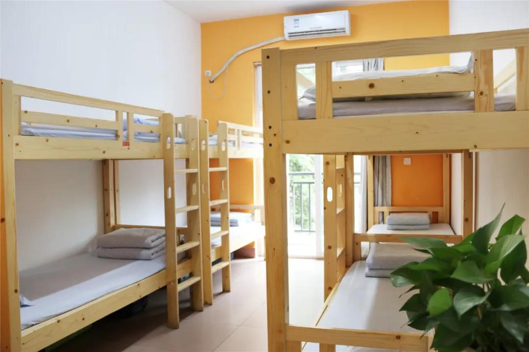 初升高择校不能错过的一匹黑马!成都新津为明学校,了解一下?