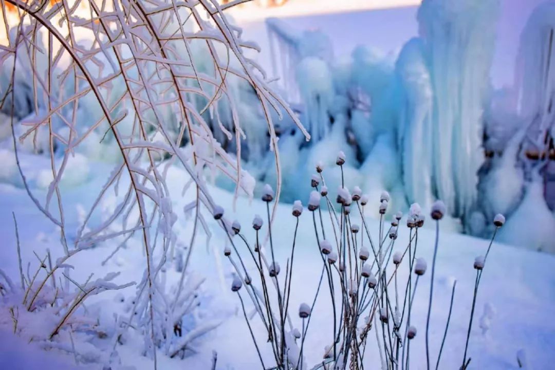 赏雪何须去北国,赏梦幻雾凇耍雪的绝佳去处