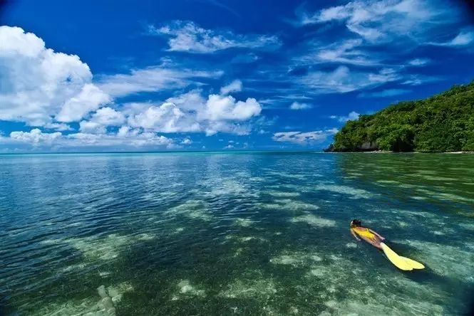 帕劳归来不看海谁说的,帕劳归来不看海