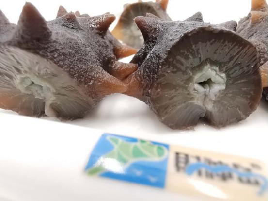 大连海参品牌大全,海参品牌打造