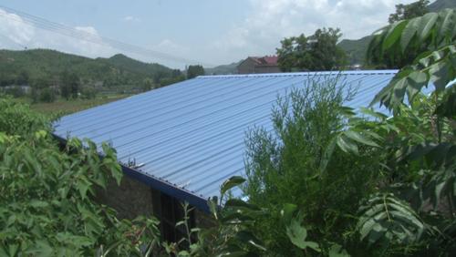 「十堰」我的脱贫故事丨周邦林：养牛过上“牛”日子