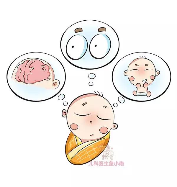 dha贯穿宝宝一生的营养素,dha营养脑神经吗