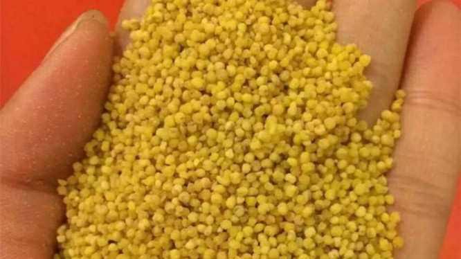 米面怎么保存不容易生虫子,米面生小虫怎么办