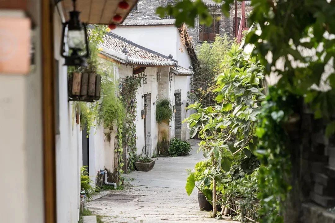 深圳周末带孩子免费游玩好去处,2021深圳免费适合遛娃玩地方排名