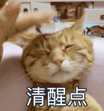 单身的仙女们啊！这些当妈之后的身体真相，我想现在就让你们知道