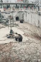 39张搞笑车祸动图,交通事故搞笑gif动图