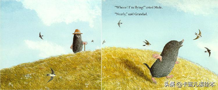 英文绘本动画故事完整版,英语绘本鼹鼠和小鸟
