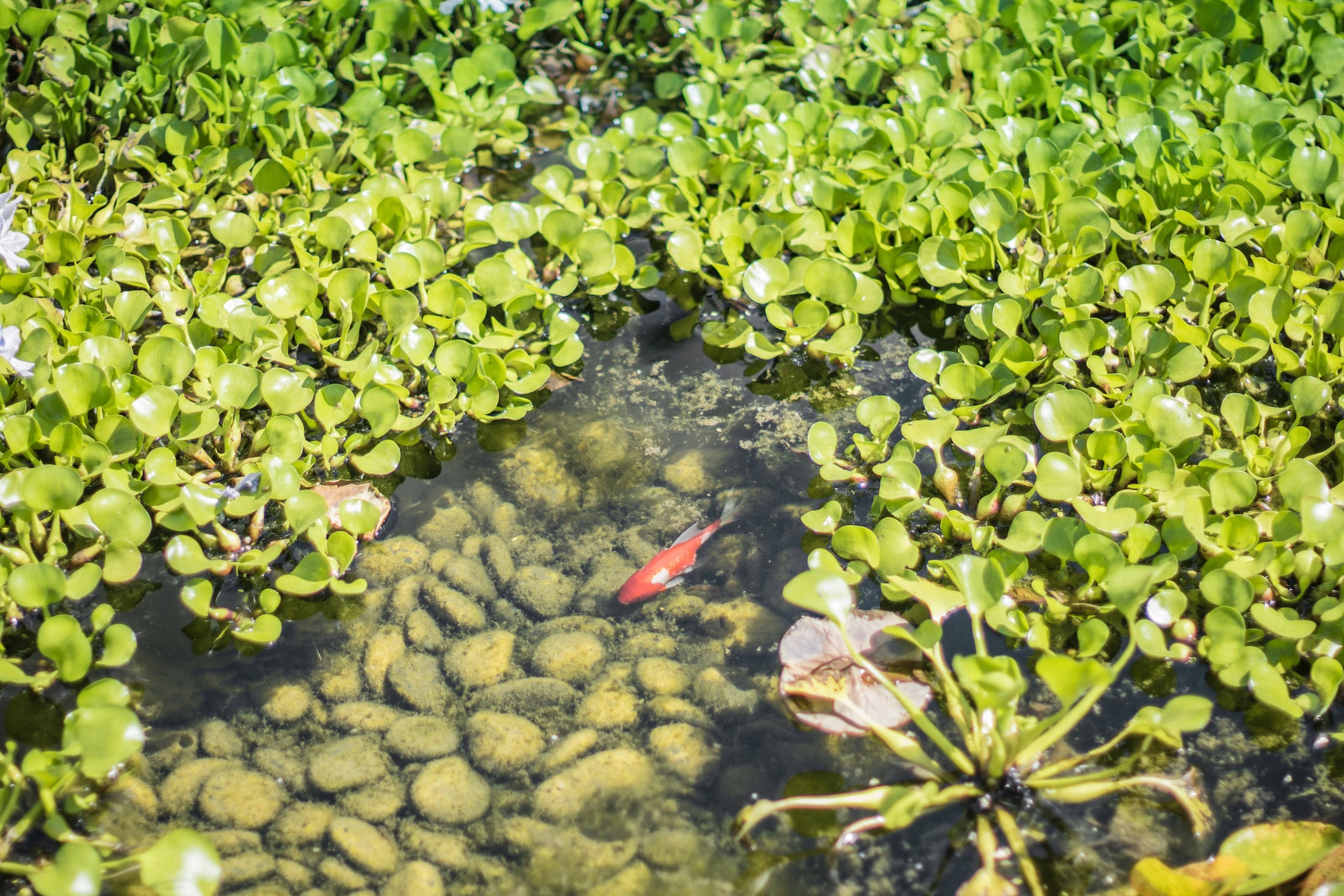 蚌埠中南江山府,蚌埠中南江山府业主纠纷