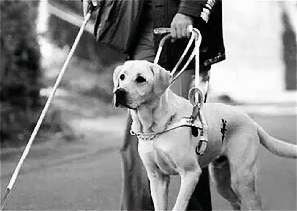 墨西哥盲族小孩,墨西哥盲族部落