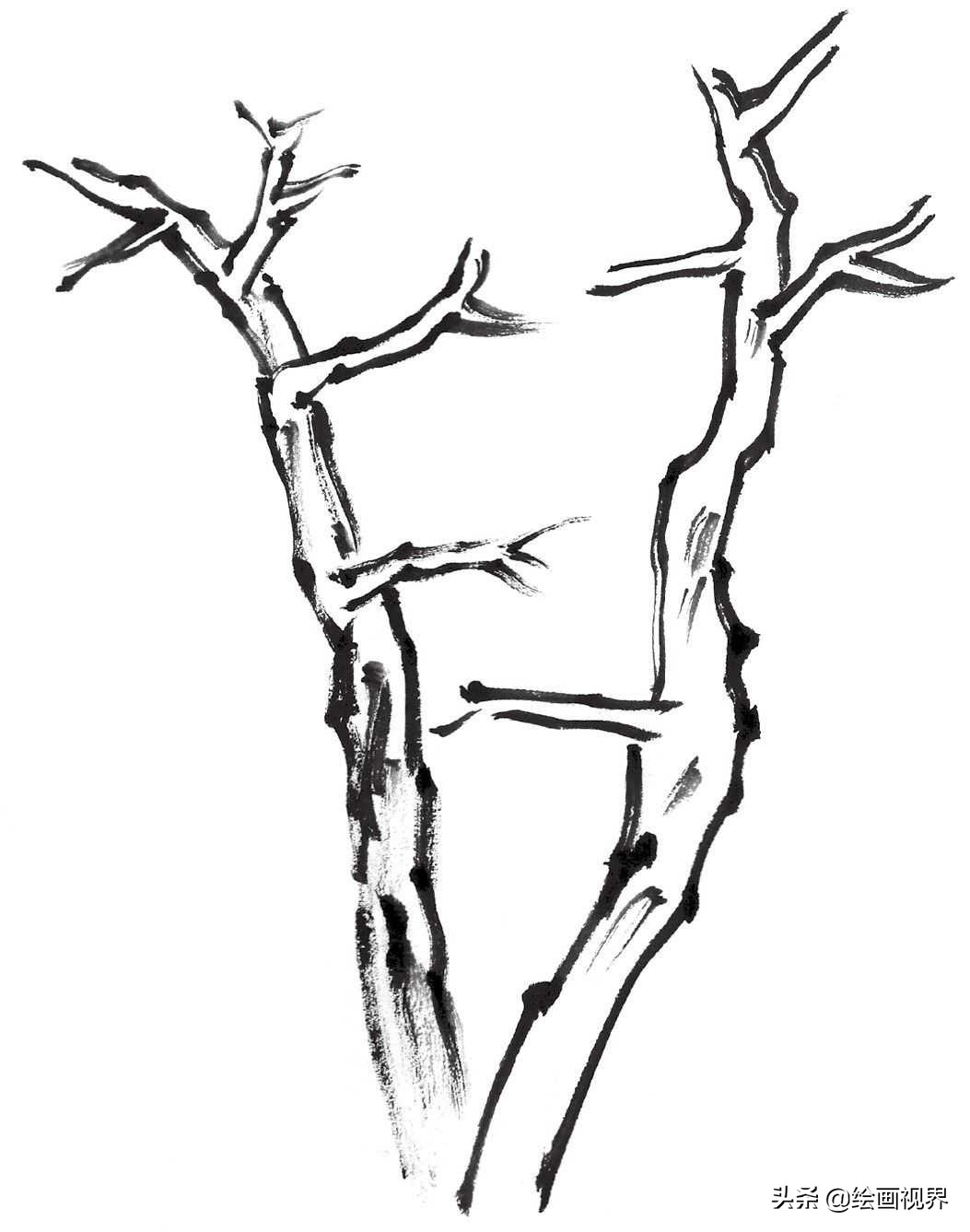 国画双钩树的画法入门,国画杂树与山石的画法图片