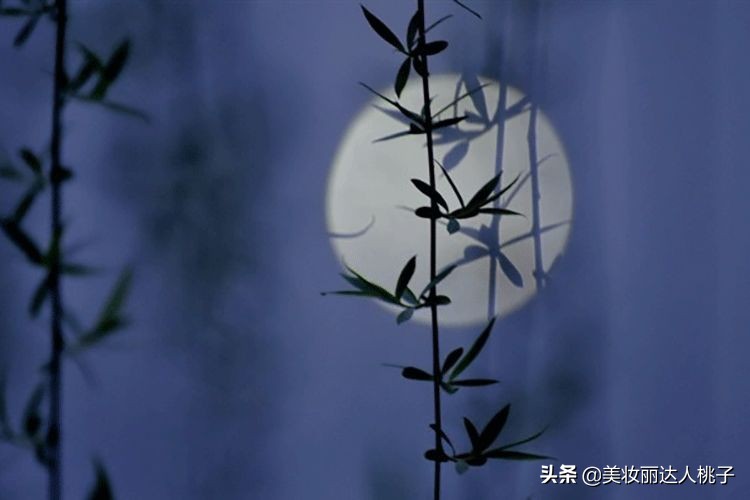 国货可以做到哪些品质,国货中的经典好物