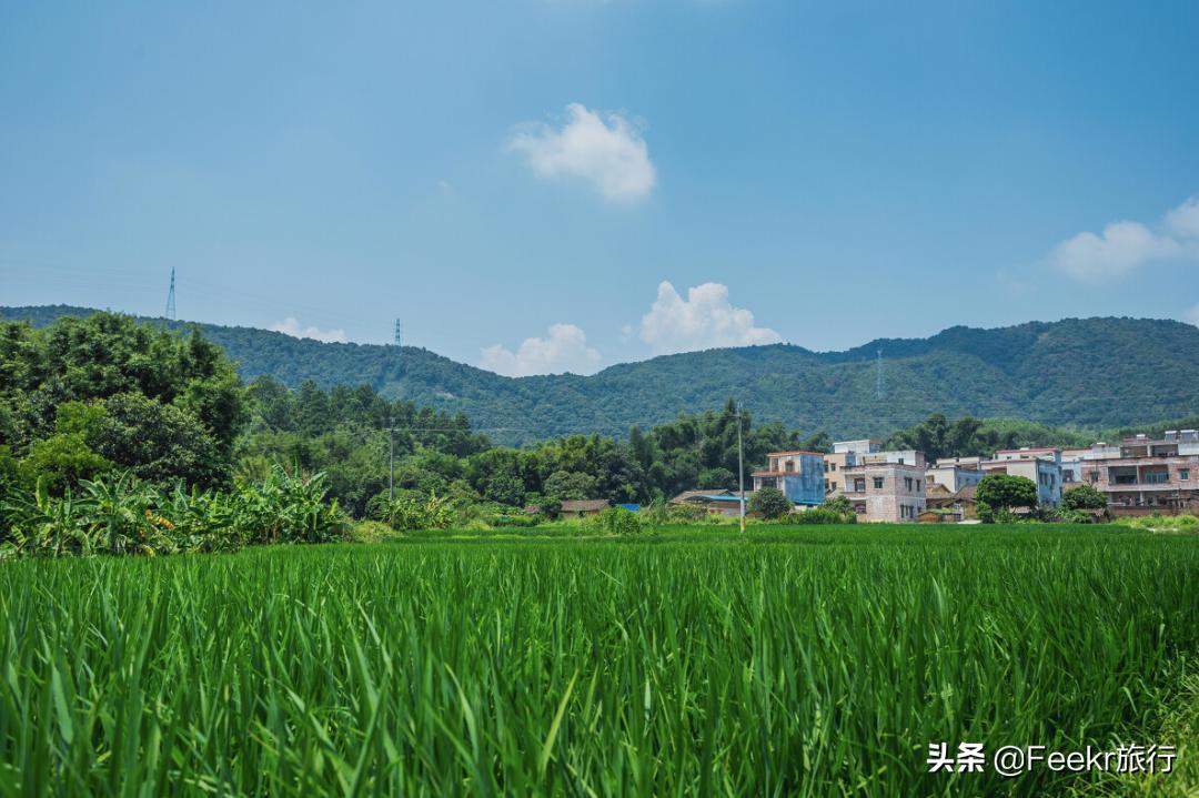 私藏菲律宾同款空中佛手，落胃美食从早吃到晚，这座广东小城该火