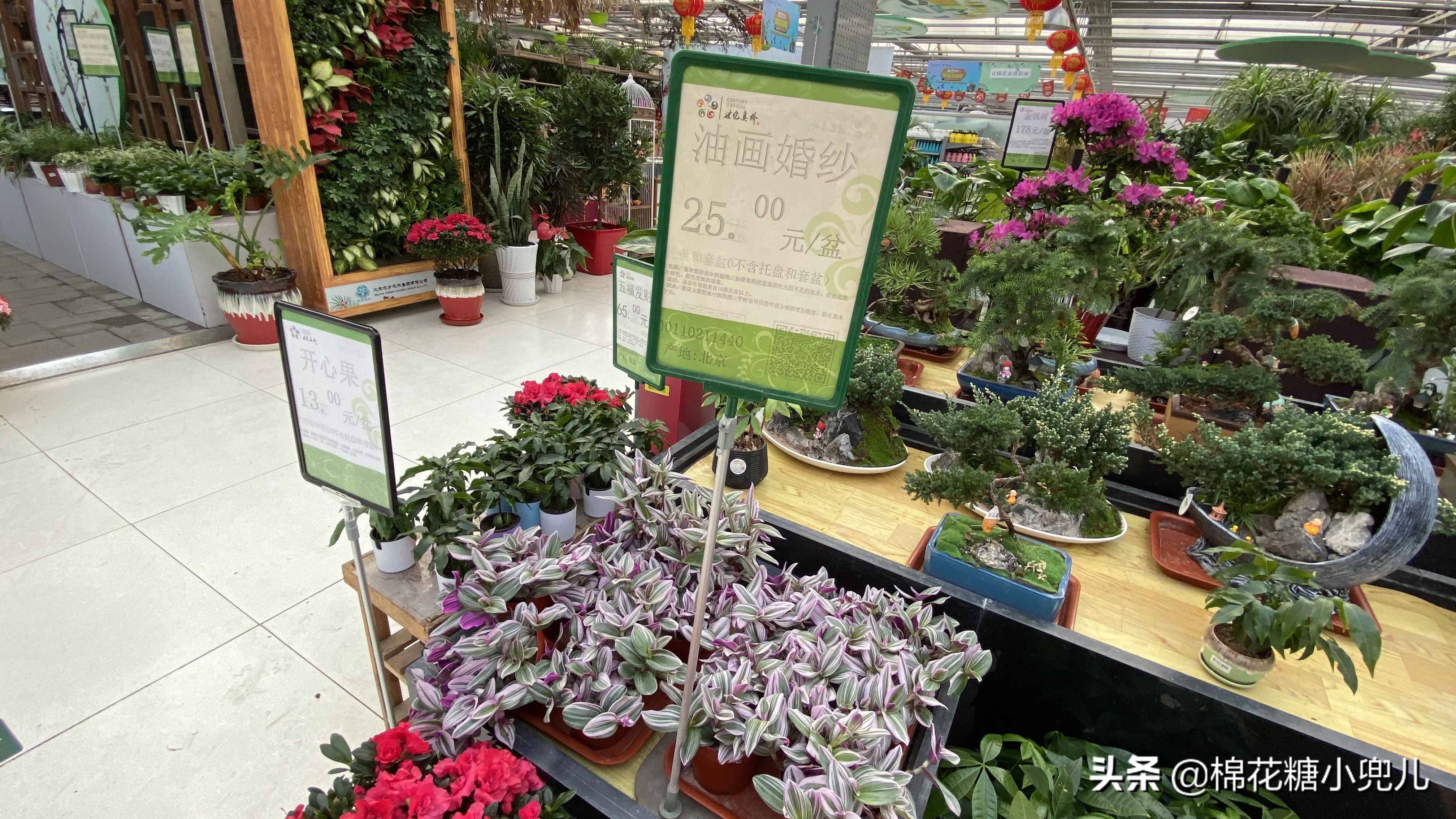 北京南四环花卉绿植批发市场,北京开一家鲜花店