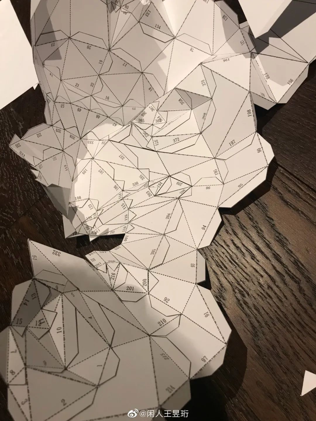 最强大脑王昱珩清华毕业后不上班,王昱珩上学经历