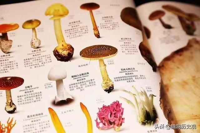 单店月流水240万的店铺,小店流水超过100万