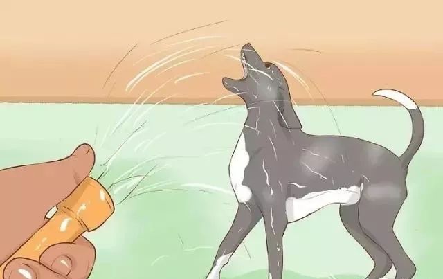 狗狗中暑后好几个小时站不起来,狗狗中暑症状和解救方法及其价格