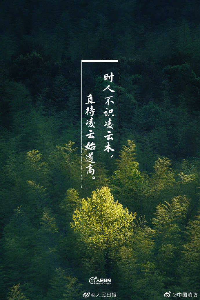 一起感受古诗词里的励志情怀,写给自己的励志古诗词名句