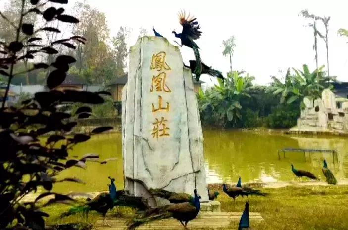 重庆股份转让中心在哪呢,重庆市股份转让中心