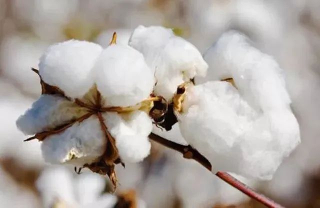 又柔软又舒服的竹制凉席,老粗布凉席怎么做的