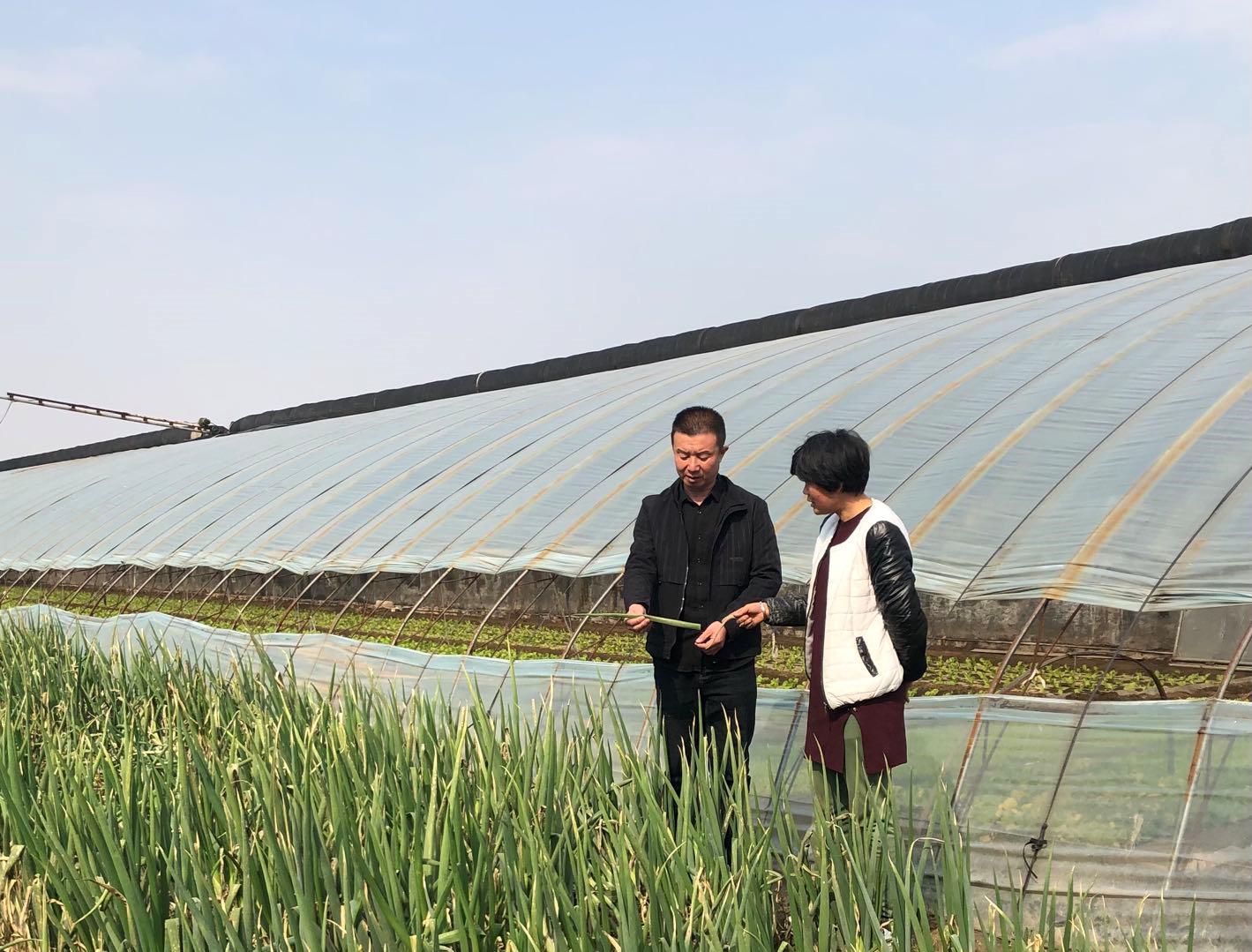 山西省“百佳高素质农民”樊建兵：村民致富的领路人