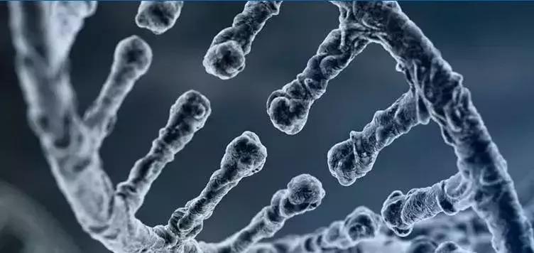 天科雅生物科技有限公司怎么样,天科雅