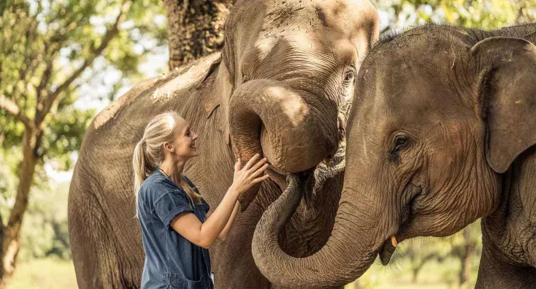 泰国泼水节狂欢六日游,泰国泼水节电音节攻略