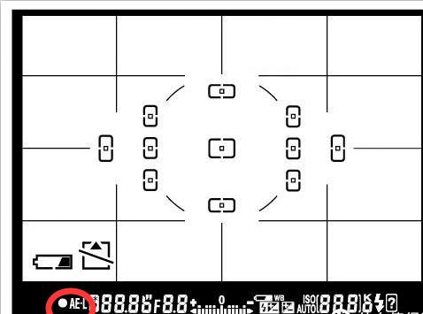 自学摄影胶片,自学照相机教程