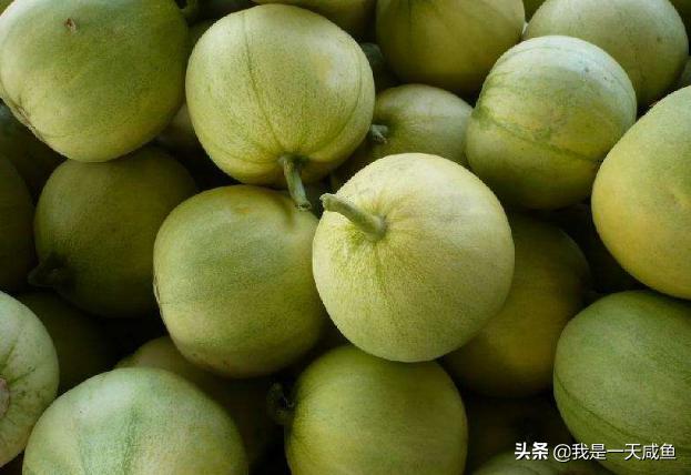 如何挑选香瓜的正确方法,香瓜怎么挑选好吃甜