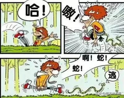 幼儿园里有可怕的怪物,幼儿园发现神秘怪物