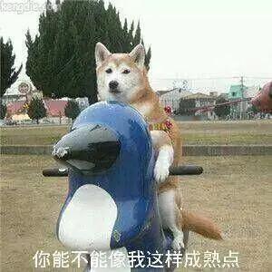 离职摆摊群靠谱吗,辞职摆摊你们怕别人看不起吗