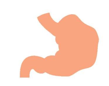 人体的八大系统免疫与营养,人体八大系统作用