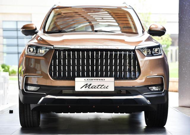 湖南省永州市冷水滩猎豹汽车,永州市猎豹汽车