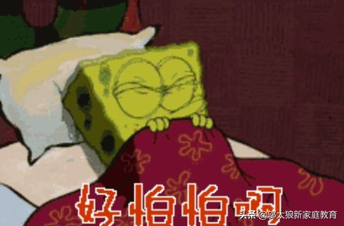 娃儿胆子小该怎么培养,对孩子说别害怕