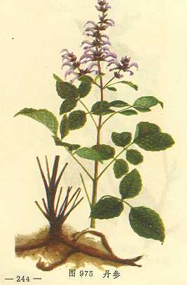 膝关节骨性关节炎中药,中医治疗膝骨关节炎的方法有哪些