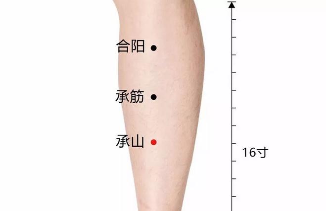 膀胱经腰痛如何疏通,拉伸膀胱经缓解坐骨神经