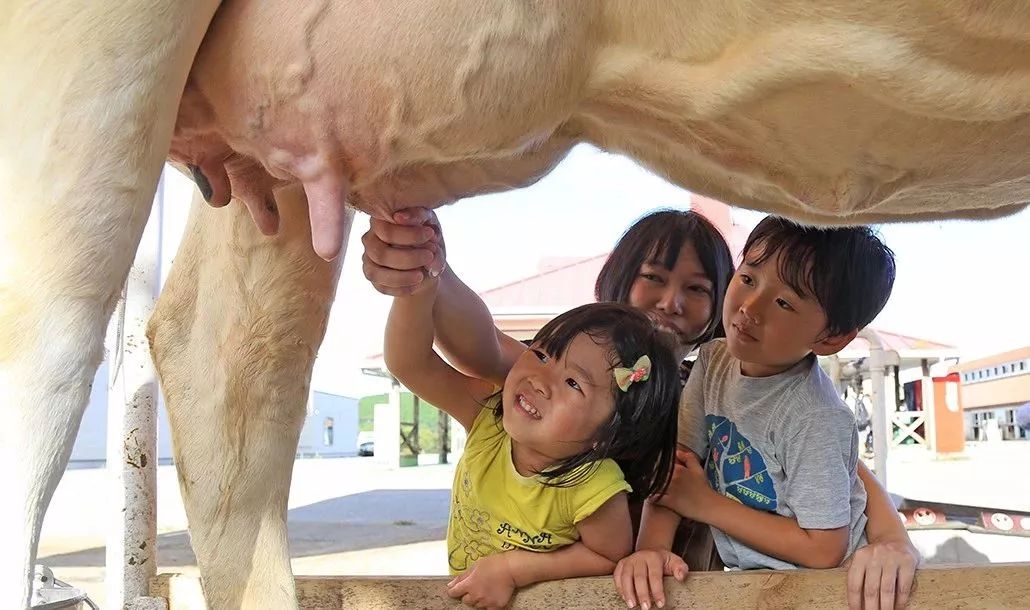日本母亲农场项目,日本一个亲子农场年赚3亿
