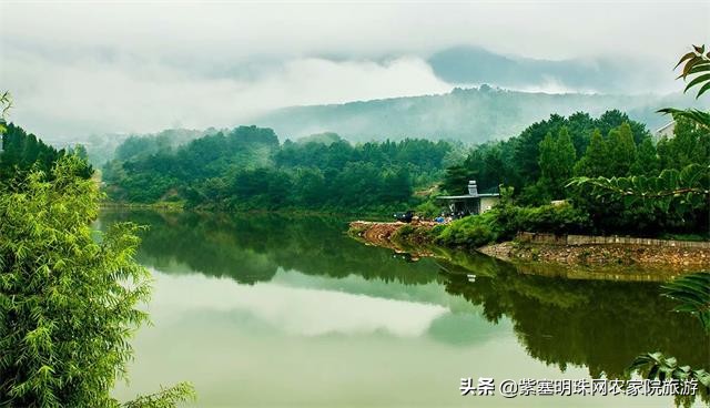 梨木台景林农家院,梨木台景林农家院直播