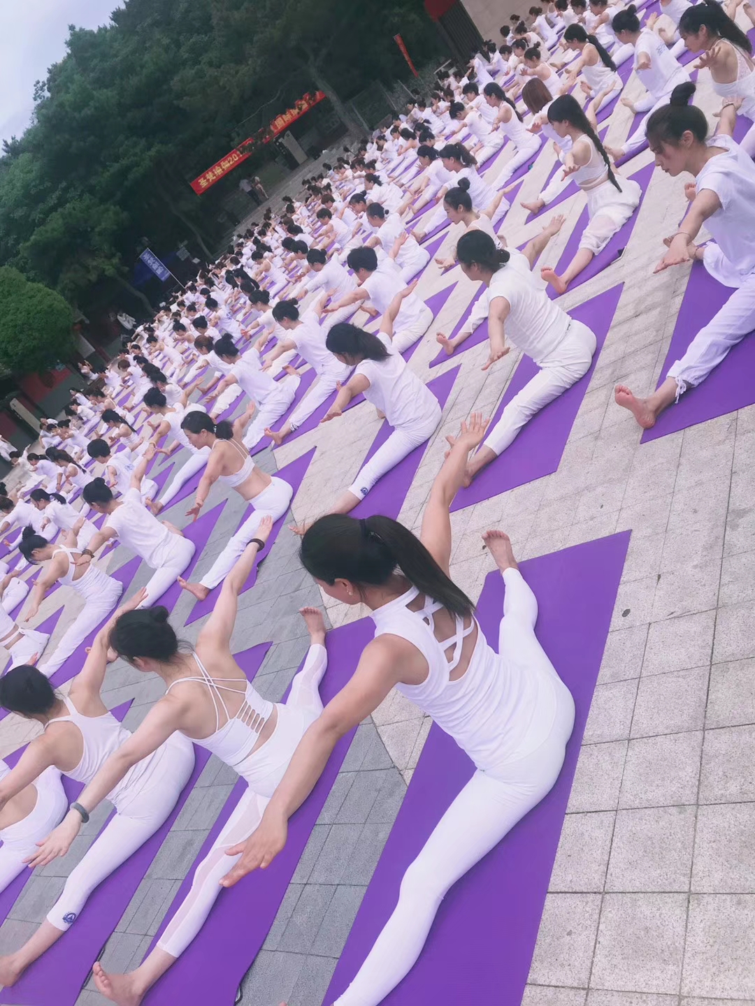 2024年国际瑜伽日最新活动,全球各地爱好者迎国际瑜伽日