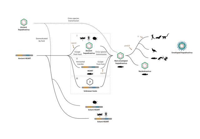 硬核！这，就是南京师范大学2018年度十项主要科研进展！